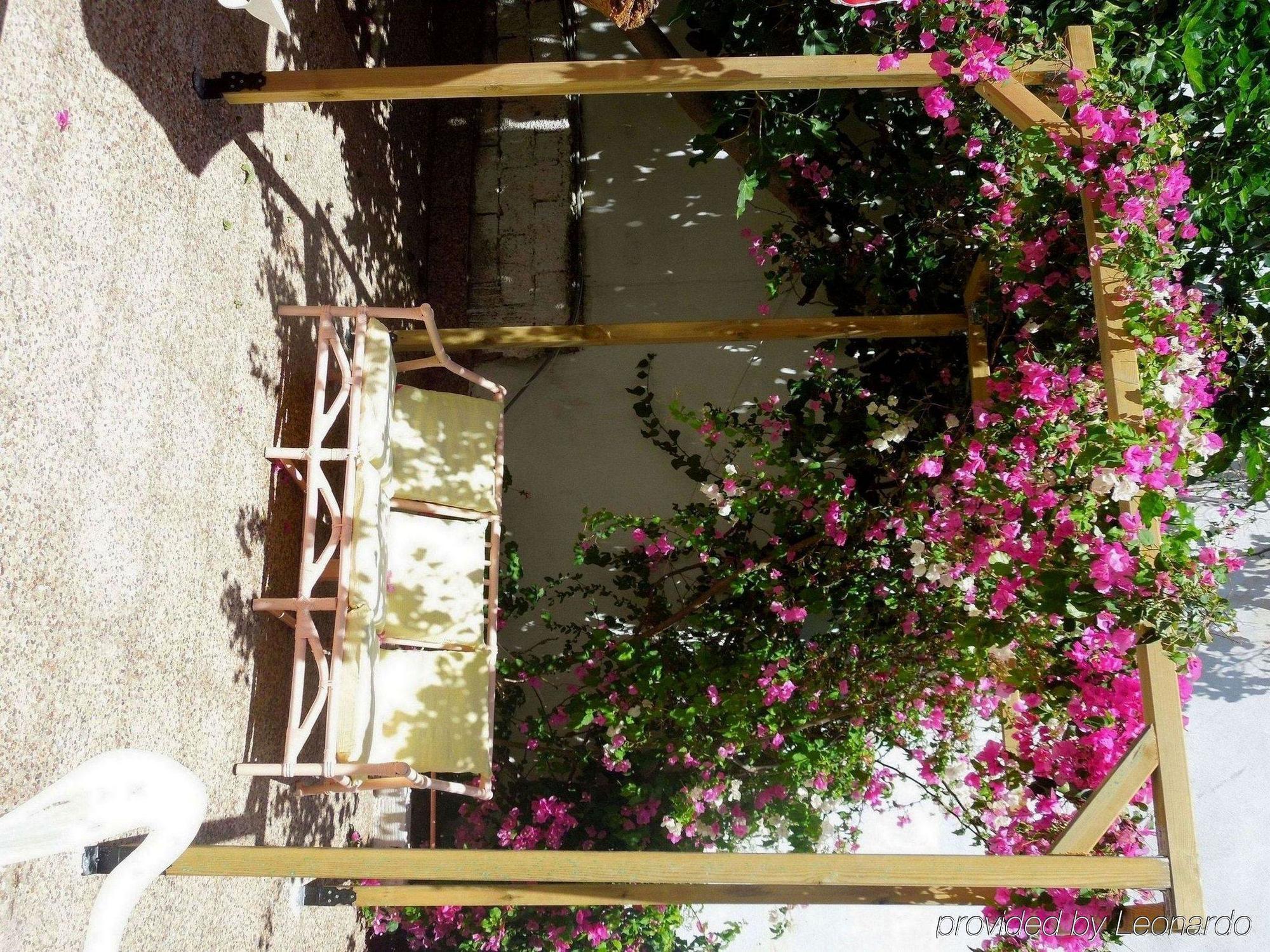 Hotel Albatross à Livadi  Extérieur photo