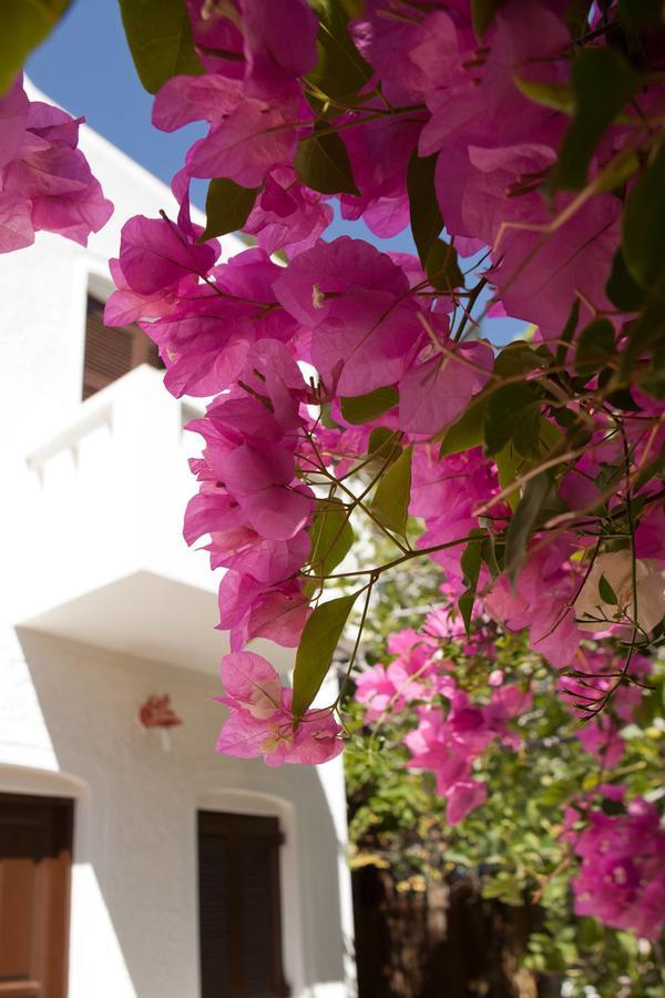 Hotel Albatross à Livadi  Extérieur photo