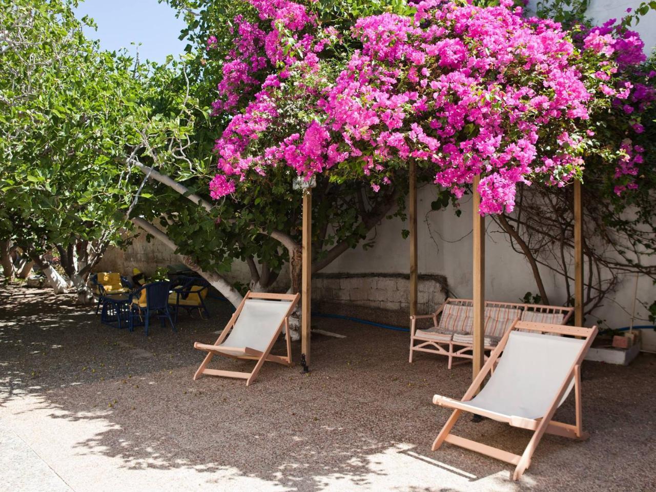 Hotel Albatross à Livadi  Extérieur photo
