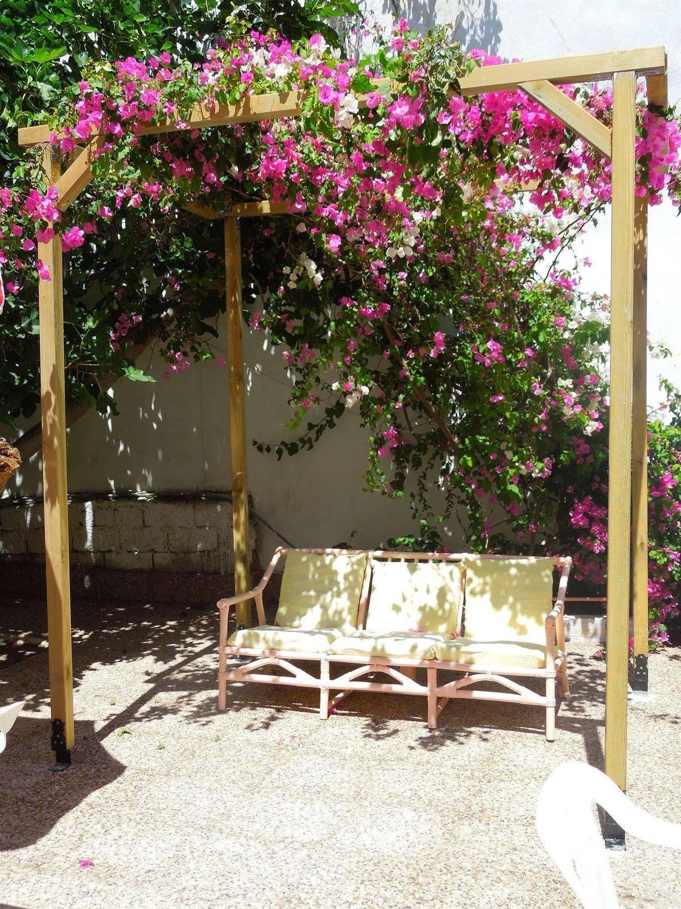 Hotel Albatross à Livadi  Extérieur photo