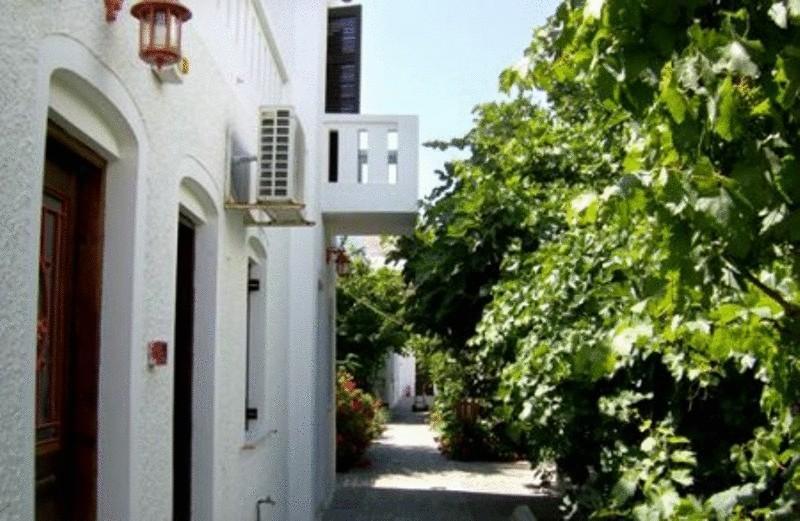 Hotel Albatross à Livadi  Extérieur photo